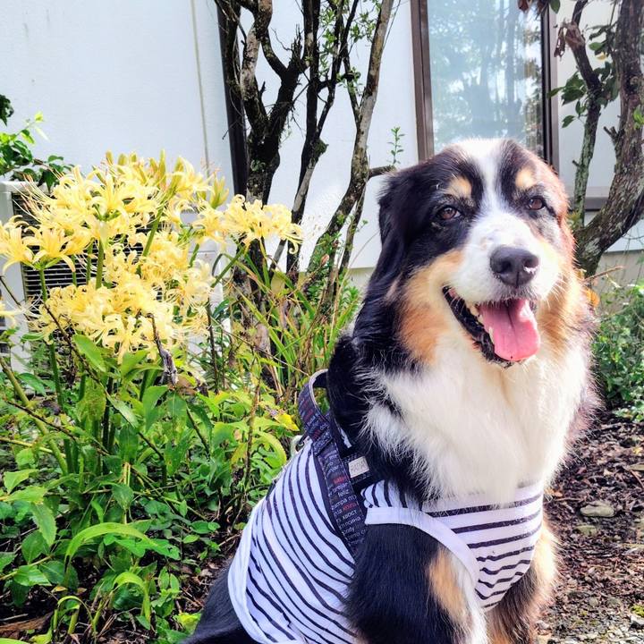 8d3ac3c7 cd4d 49d7 a628 c35de0198b8b 1759578338216