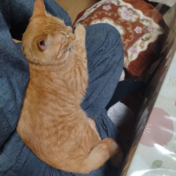 8d3ae865 47ef 46bc abf0 dbfaa6100379 1666003444536