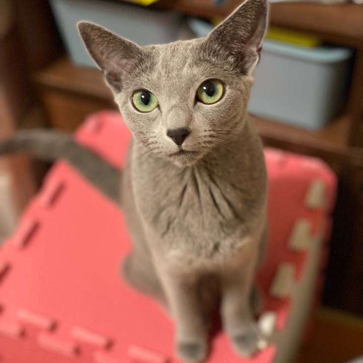 8d3ae87f 73a4 403c 9c7f cd4c0de5e02e 1637369663643