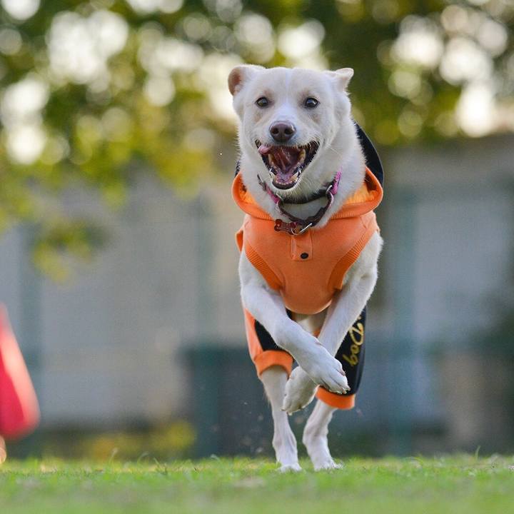 8d3aef4c e475 4aa7 85a7 4840a895236b 1509099598231