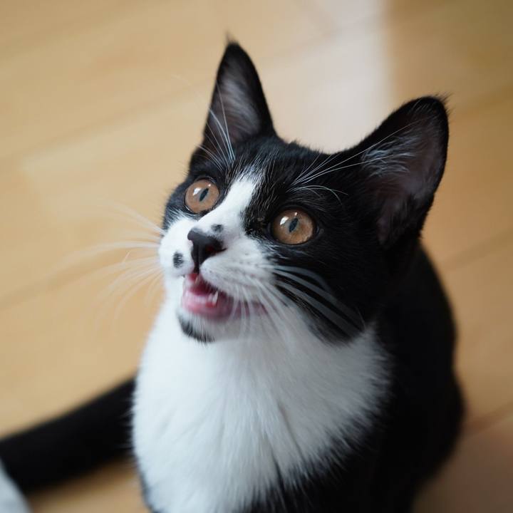 8d3b0700 6d28 4646 8d57 45b3fa7a07e4 1573119633253