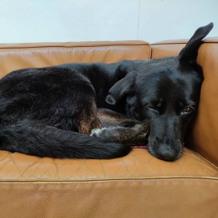 8d3b16b4 7ab7 4ea1 b875 e12d732af147 1659233768450