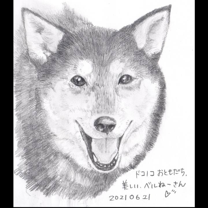 8d3b23a9 381a 4683 8a9e aa2eea265af9 1624268280972