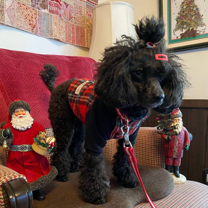 8d3b3255 88db 4af0 9960 2c07534fae48 1640311075306