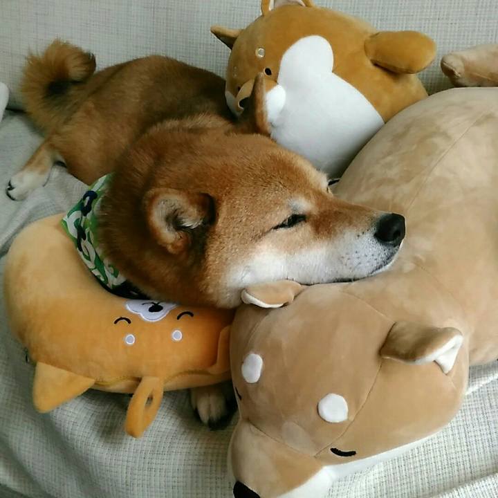 8d3b3629 b369 473d 919a ba5f73f675f9 1559436307012