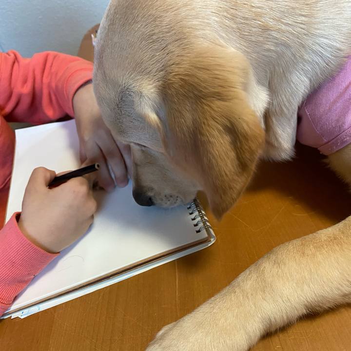 8d3b6730 bb8b 4c86 a545 994e1a394ff4 1617780297776