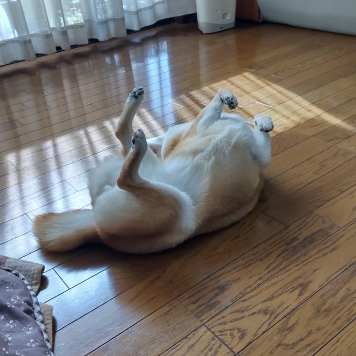 8d3bc421 3a09 4db4 9535 44cefb927de3 1771824198467