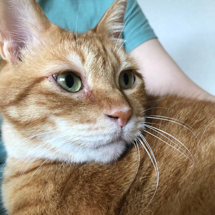 8d3bf3a4 59f4 4ad0 994d 32d8fce19356 1625900149003