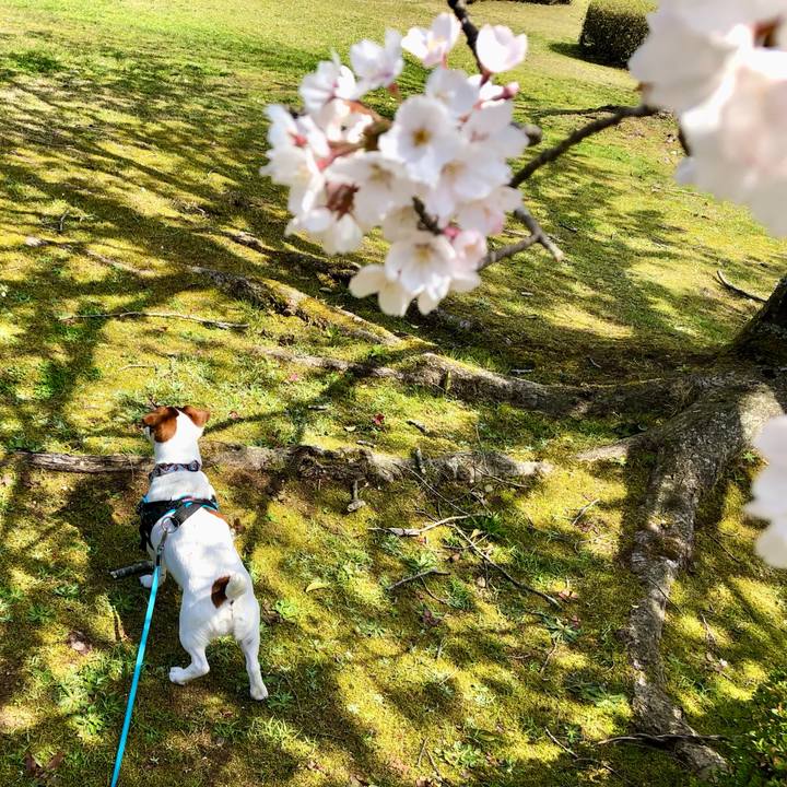 8d3c4687 dfd6 4379 ab7a 3313b9f74d45 1649062343644