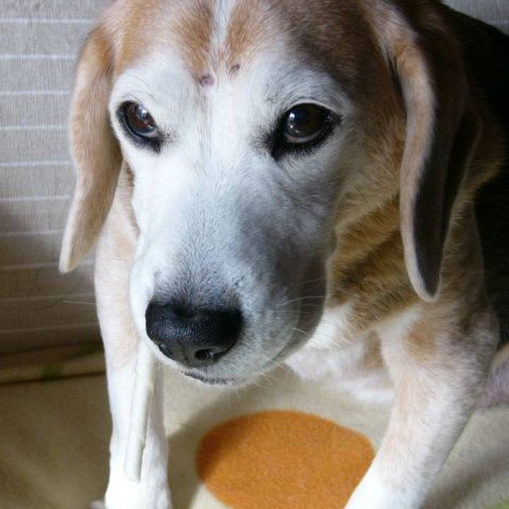 8d3c7e5f df6a 4569 9790 9e462d397698 1677375333640