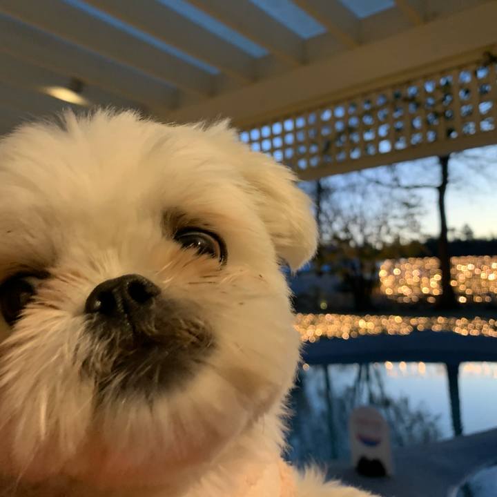 8d3cab49 38d6 491b abdb 60ac0a93e0a6 1669552976302