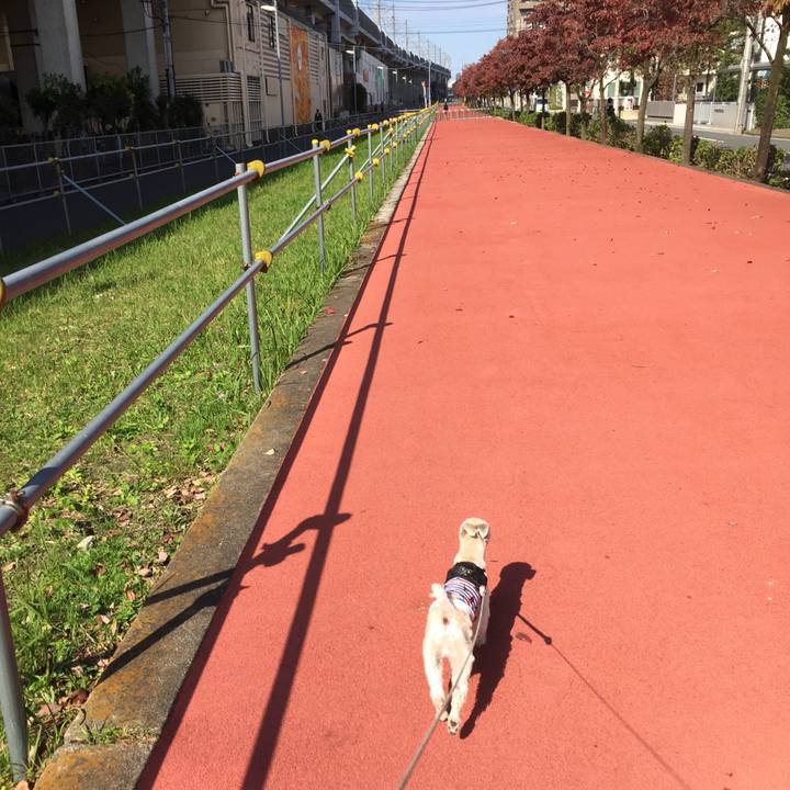 8d3cc58b 9de6 45f0 94b2 58b9578a4661 1540709367589