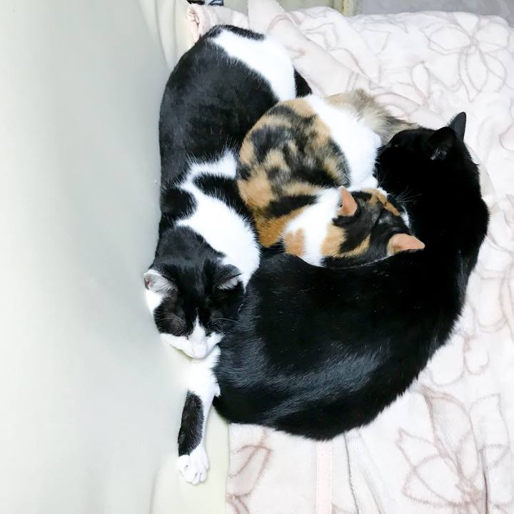 8d3ccbc0 b9be 4a23 9c7e c04c1913ed62 1513948906407