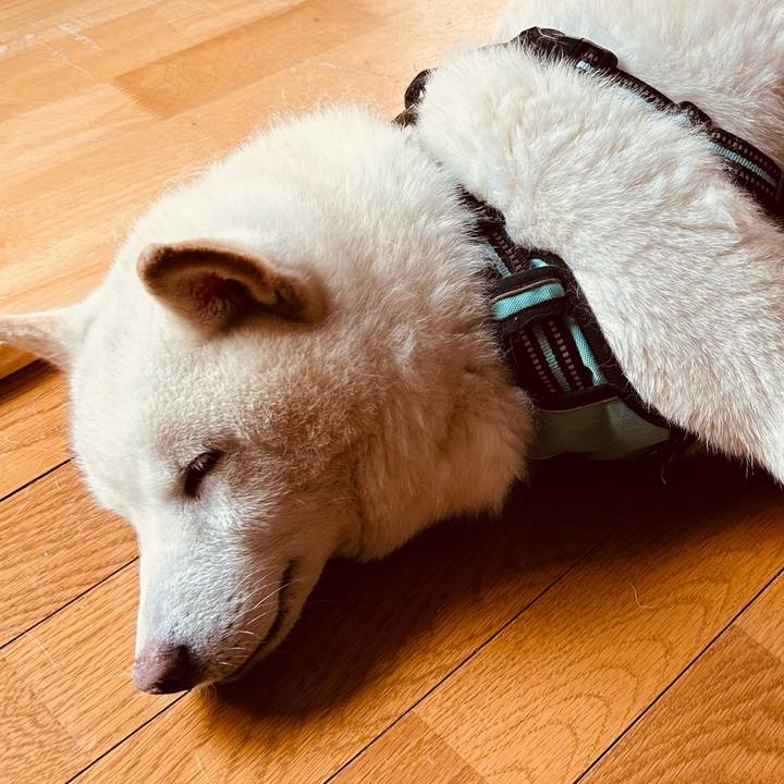 8d3ccc67 5882 4240 8e35 3e808e40cfcc 1740733058228