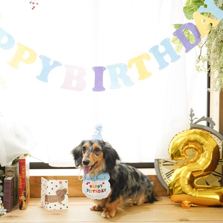 8d3cd7d6 65f2 46c0 b2eb fb50fb4340ba 1752535659020