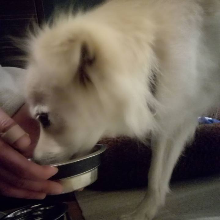 8d3cedf4 0a77 410c a3ad 50f120d3e0ee 1514174564978