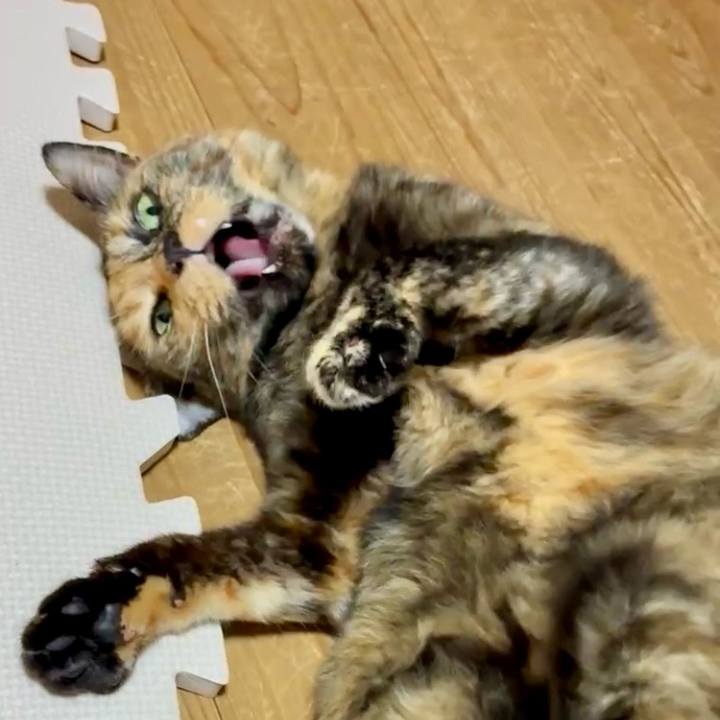 8d3d1317 29dd 455c bac3 40fa61902015 1752092730498