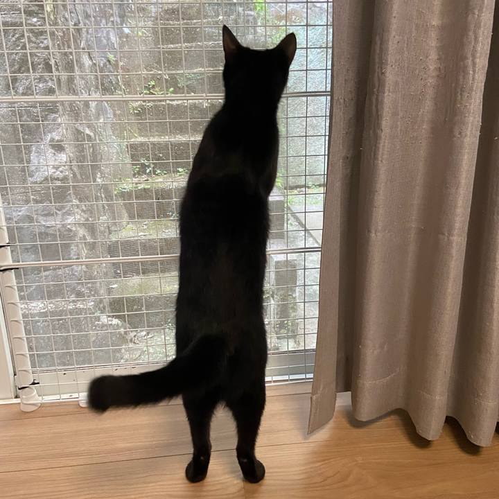 8d3d2c65 4134 4a98 bed7 b31ae0312115 1665234149228