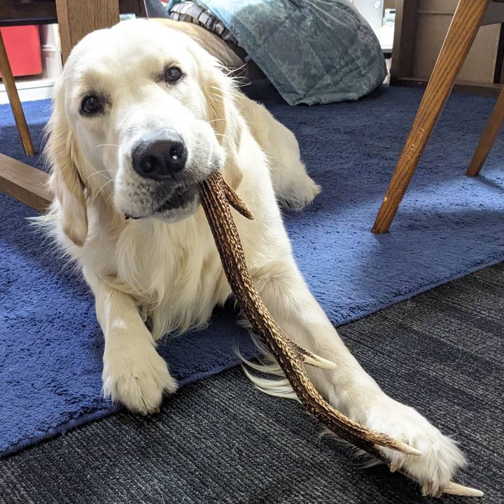 8d3d50b3 c08a 41df 9f92 cbc62a34d51e 1757856266123