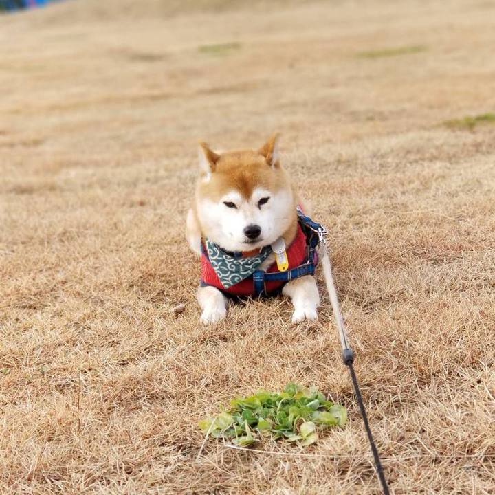 8d3d5b71 43af 41b9 9e0b b45871fdf8e9 1545716358596