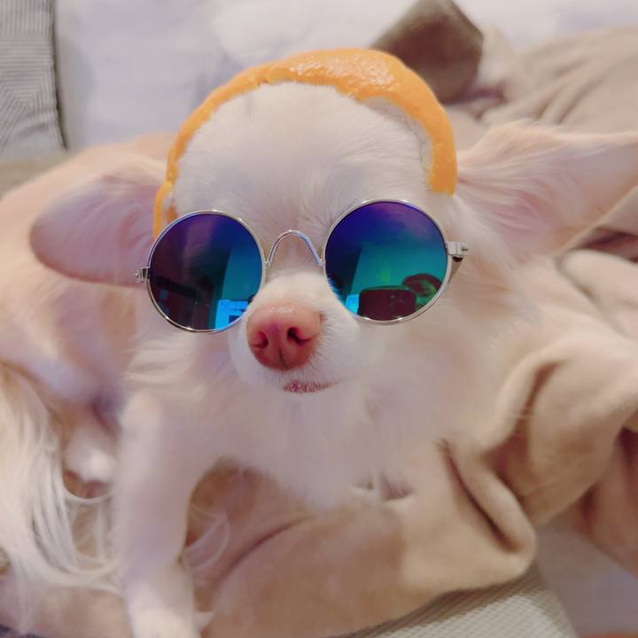 8d3d7886 59e8 40d6 8477 6561134c5c3e 1704548679386