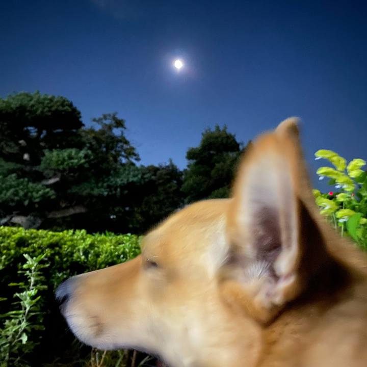 8d3d913a 8b8b 44e4 82a7 fd890fd9e1be 1626954173060