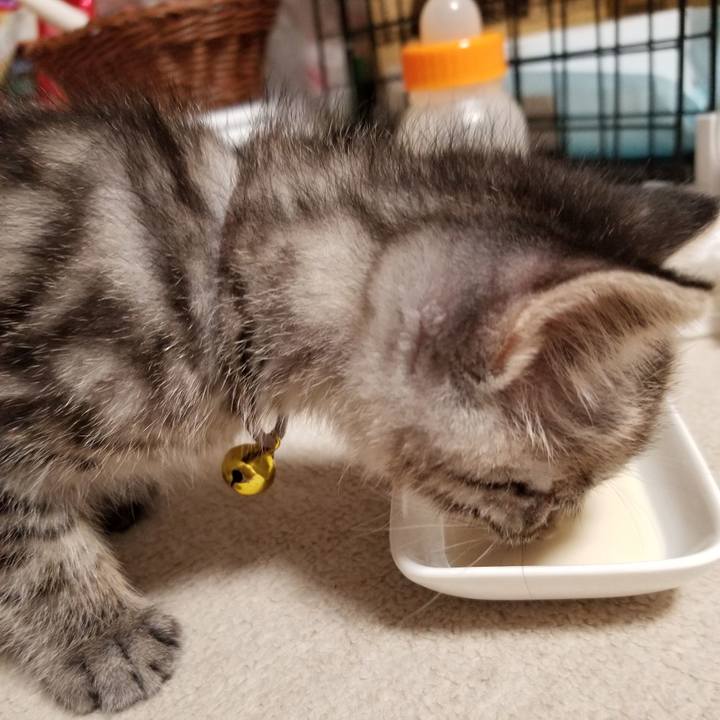 8d3d9ca6 35ca 40f1 8a68 75a0c627b7ff 1661424170566