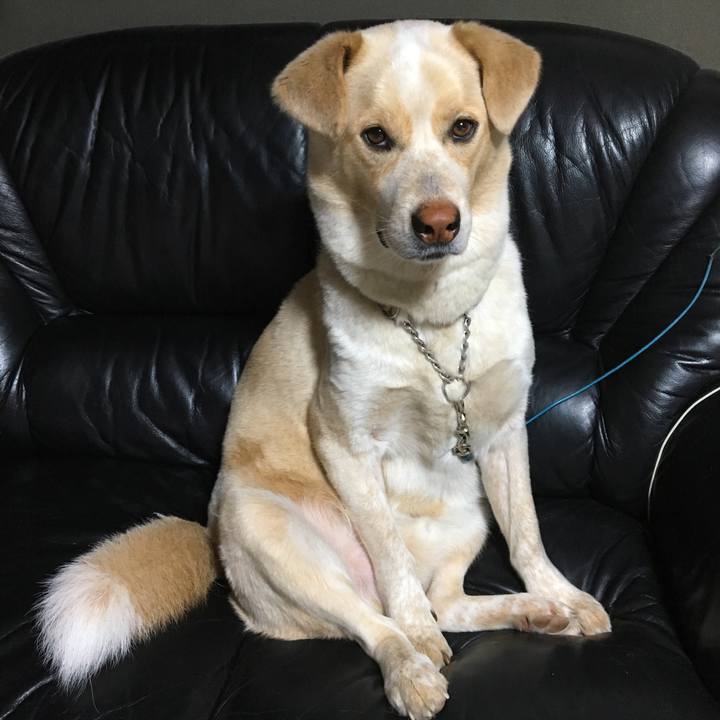 8d3db5ea 986c 48df afce 0914bb824ca8 1527777232613