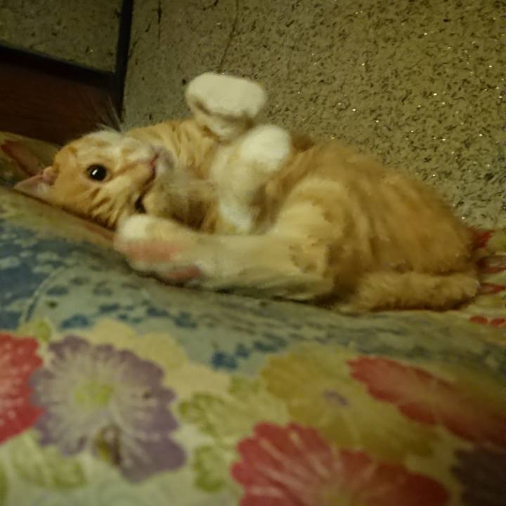 8d3dc9a8 8c72 49da a201 8d3c313f79e9 1593609447221