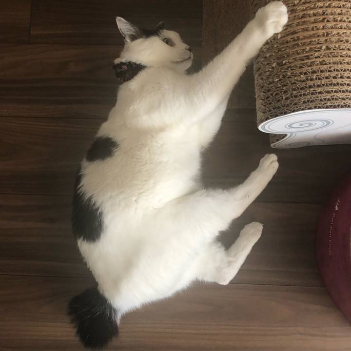 8d3de125 c27e 40b0 a489 ab28a516370c 1553210910401