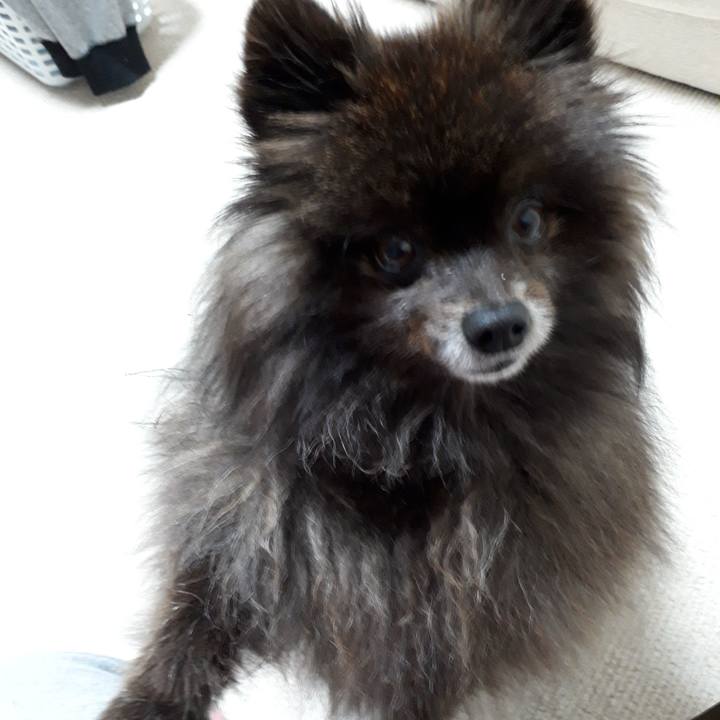 8d3df70e fd55 409b a538 27ee7794771f 1518371758499