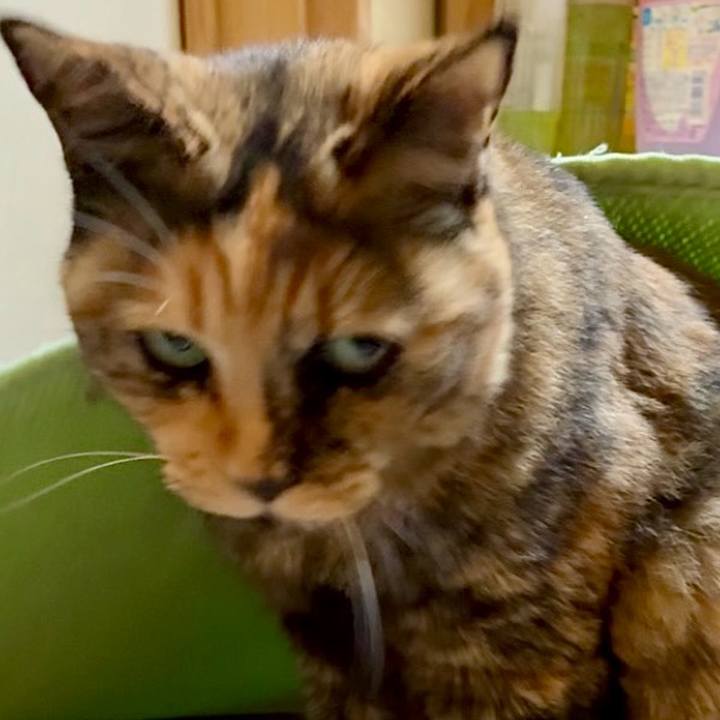 8d3e090e 4351 4fef b3e5 7ff37b64f204 1755726492794