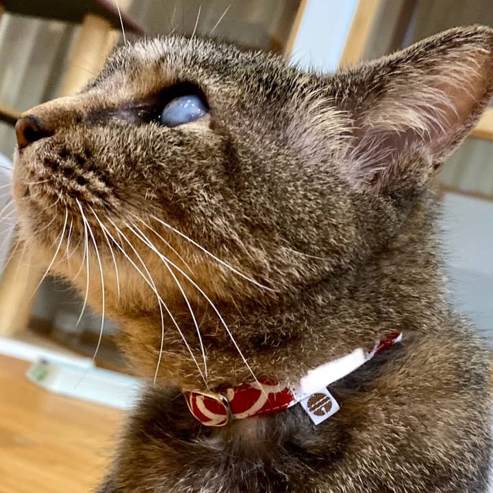 8d3e1beb 35ad 4d9c a982 dc8ac7a84154 1654163197369