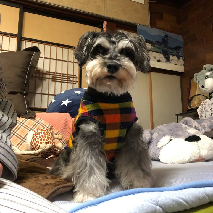 8d3e4107 3220 4bb6 a400 3a1ed8e0a495 1637932637126