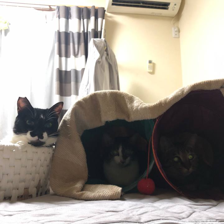 8d3e53a4 0322 4349 b268 d217f5919982 1564232990363