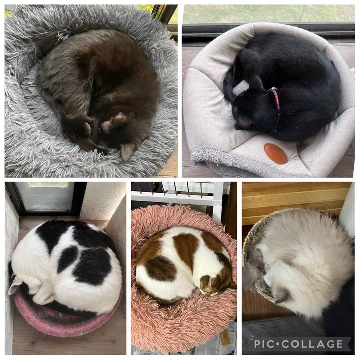 8d3e87dc c0ad 4c1c 9685 a37ab49faf3a 1762674014567