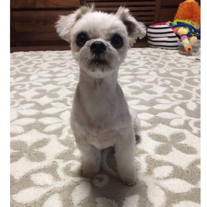 8d3e9486 be3d 4f7c a5ce d3b9897996de 1543651593629