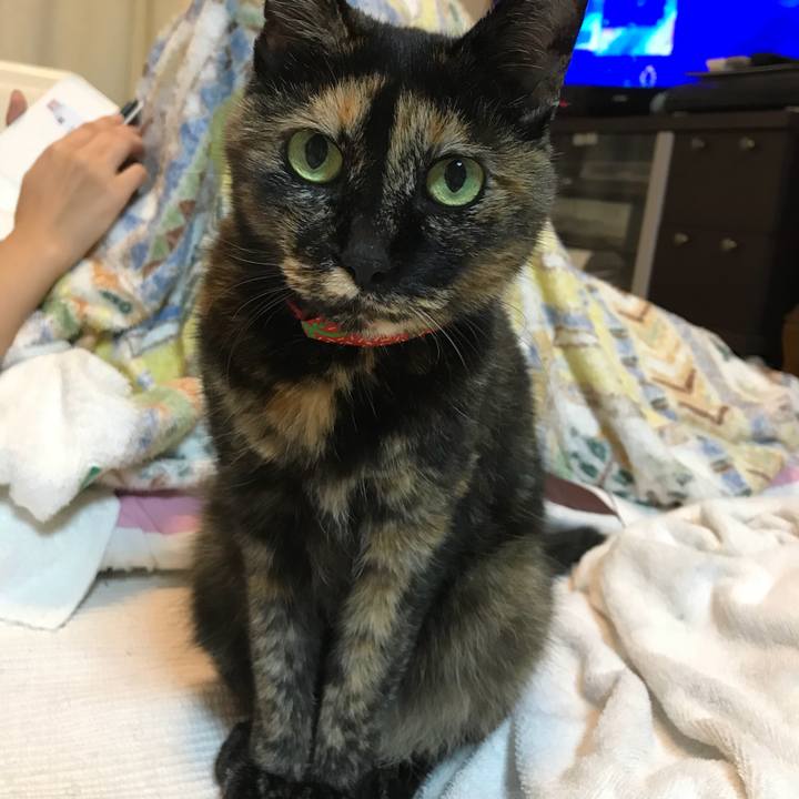 8d3ed1e4 3990 409a 8a91 45d52d4fa574 1536326433213