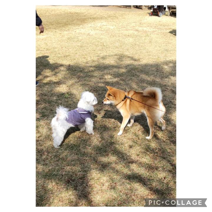 8d3ef3f6 e6d1 4359 a699 868df224a210 1698993758696