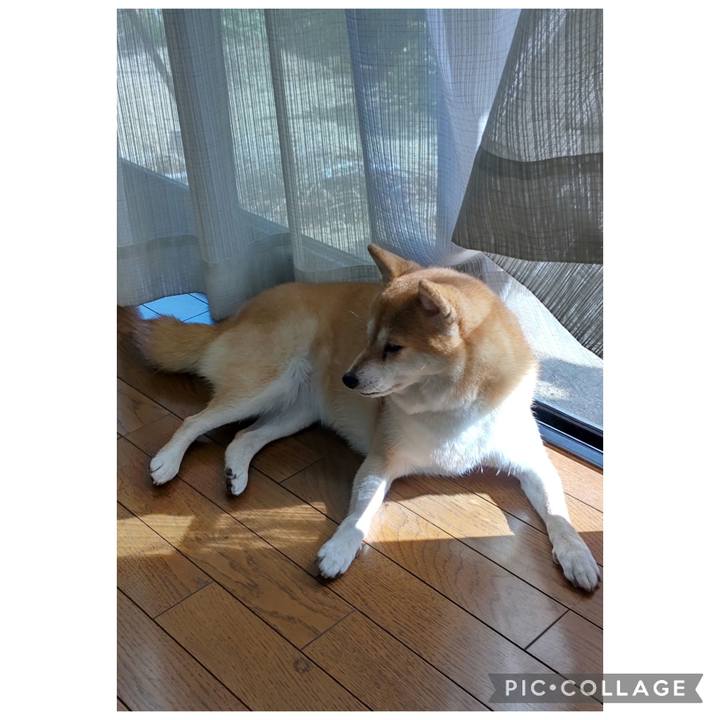 8d3f14e3 ca5d 48cd aba7 8104a6310238 1761713428141