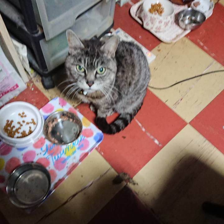 8d3f67ce a9e0 45b5 95dd 8126a92583b9 1553028110772