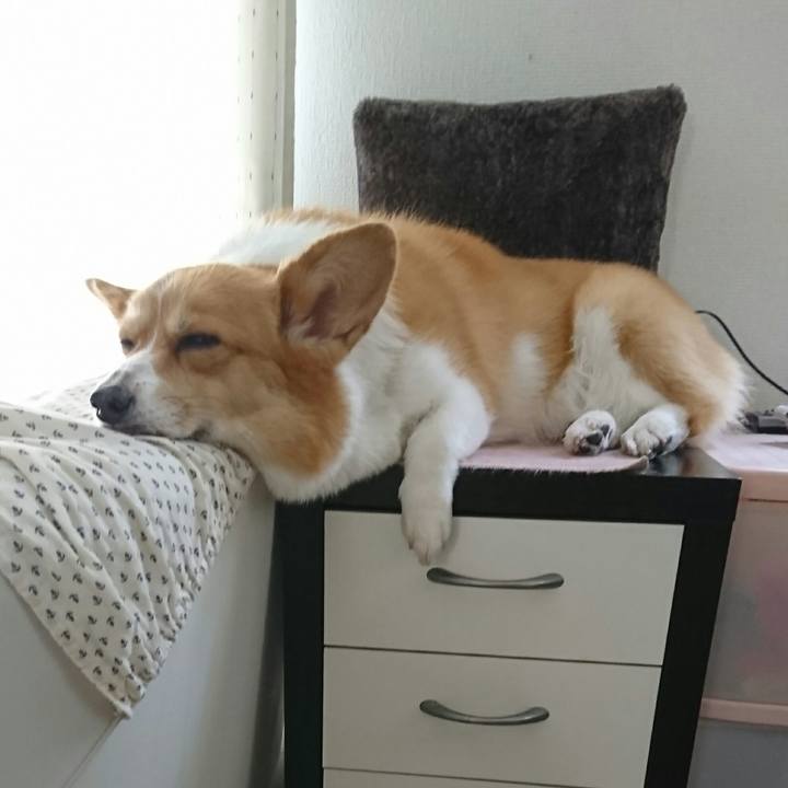 8d3f6aba 75b6 4675 83db 439c3c1a4630 1532245878671