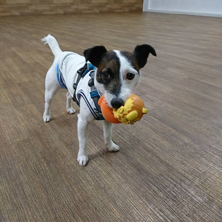 8d3f79b4 fe79 4592 bc02 eac986c72289 1521354522209