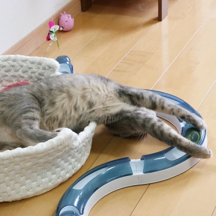 8d3fc3cf 6507 4171 864a 28082e575816 1526645999437