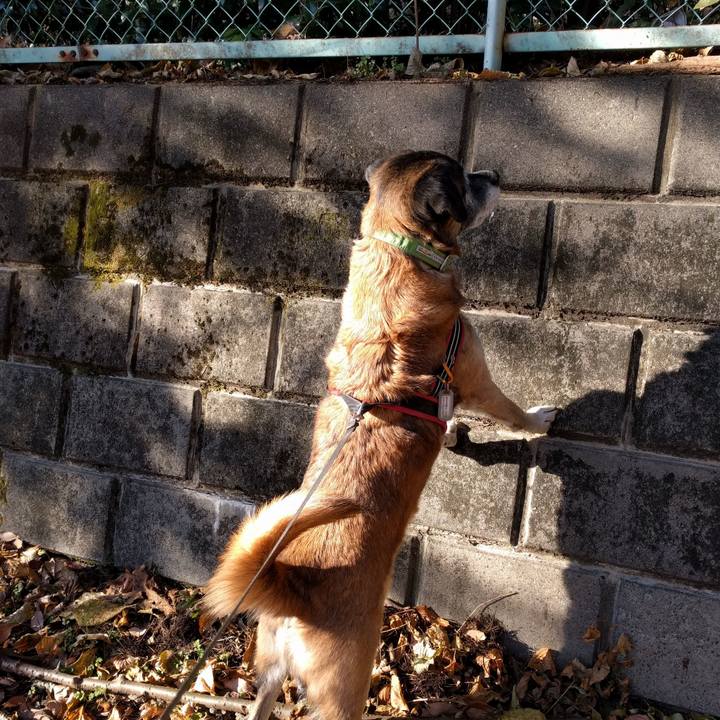 8d3fdc75 0b32 4e33 b85b a03f207ab299 1513643906242