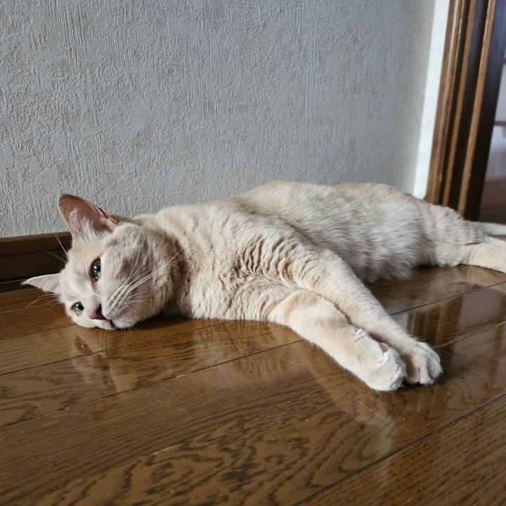 8d401881 2861 4a6f b77c 7bd5f4149463 1693032735157