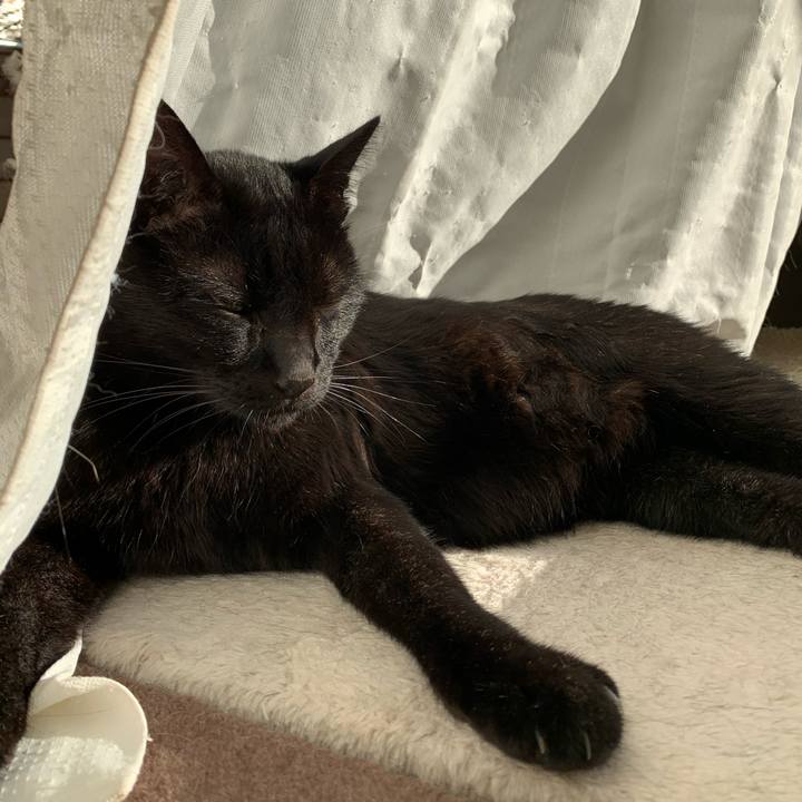 8d4030ac d77a 4da2 be17 268dd265135c 1574298278289