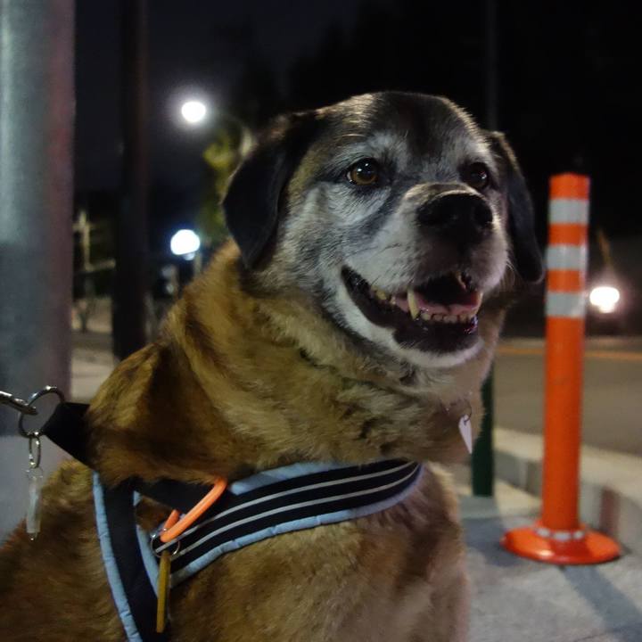 8d404b78 a3e3 43ca a0b4 c7a5141aa11b 1559315227370