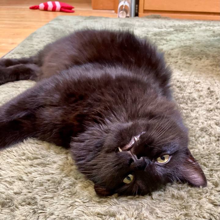 8d404c4f 5122 4751 a808 ee9002c9075d 1756810355534