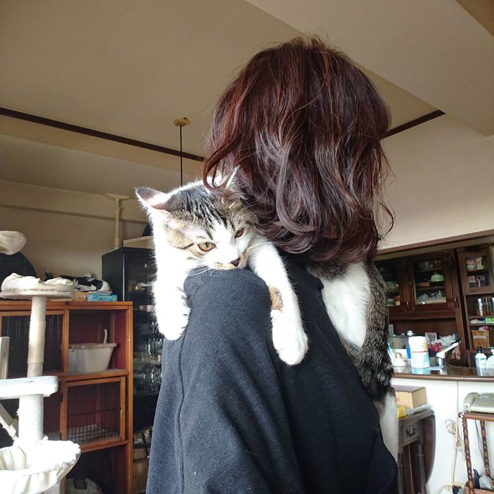 8d4059c0 e95c 49cd bbe1 5a9710631c91 1550967786237